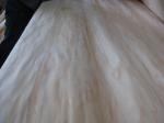 Rotary Cut/Peeled Radiata Pine Wood Veneer Sheet