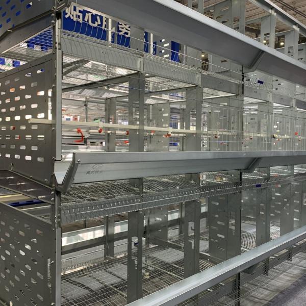 Buy cheap Galvanized Steel 120*60*70cm Poultry Chicken Cage from wholesalers