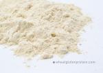 Healthy Purity Vital Wheat Gluten Powder ISO HACCP KOSHER Approval