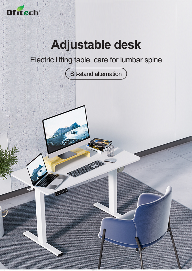Home Office Electronic Dual Motor Sit Stand Desk with Metal Frame and Height Control