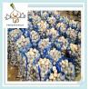 Buy cheap Chinese Fresh Garlic 2016 Garlic Price in China Top Fresh Garlic supplier from wholesalers
