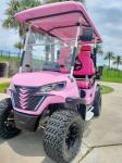 Custom Pink Off Road Lithium 72V Luxury Utility Hunting Golf Cart 4 Seater