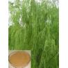 Buy cheap White willow Bark Extract, Salicoside 25% 98%, CAS NO.:138-52-3,pain relieving , 100% natural herbal ingredients from wholesalers