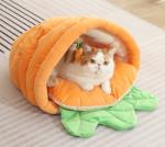 Calming Cozy Soft Cat Cave, Cute Friendly Dolphin Kitten On The Bed For Indoor