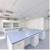 Buy cheap Pharmaceutical Chemistry Laboratory Table Phenolic Resin Top School Lab Furniture from wholesalers