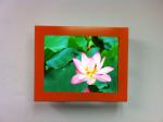 Wall Mount Digital Advertising Kiosk 15'' - 22'' Slim Support Android APP