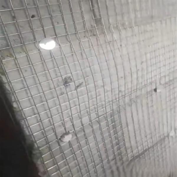 10% off Wholesale Steel Wire Mesh Electric Welded Wire Mesh for Building