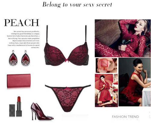 lace bra and brief