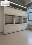100m3/h Airflow Laboratory Fume Hood with Activated Carbon Filter System