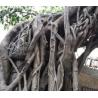 Buy cheap Customized Fiberglass GRC Landscaping Fake Tree For Garden Airport from wholesalers