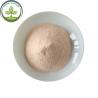 Buy cheap Wholesale Carica Papaya Fruit Juice Powder/Carica Papaya from wholesalers