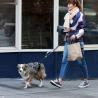 Buy cheap Pet Reflective Two Hand Handle Leash Hands Free Outdoor Portable Running Dog Leash from wholesalers