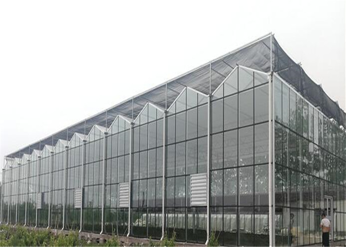 High Durability Small Glass Greenhouse Simple Construction And Stable Structure