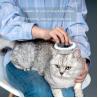 Buy cheap Dense Teeth Lice Pet Grooming Tool Stainless Steel Knife Cat Dog Hair Cleaning Hook Brush Comb from wholesalers