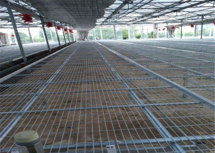 Large Size Greenhouse Rolling Benches Galvanized Frame Cover Materials