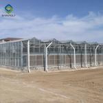 Large Size Generator Plastic Sheet Greenhouse With Project Commercial Hydroponic