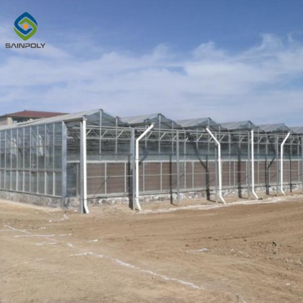 Large Size Generator Plastic Sheet Greenhouse With Project Commercial Hydroponic