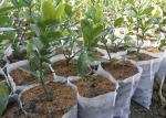 Anti-UV PP Spunbonded Agriculture Non Woven Landscape Fabric Eco-Friendly