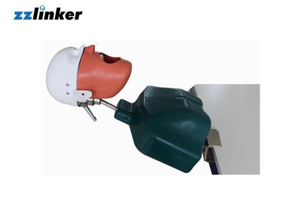 Buy cheap Dental Study Model Dental Manikin Phantom Head withTorso for Dental practice from wholesalers