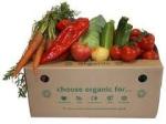 Corrugated Cardboard Carton Boxes For Fruit & Vegetables