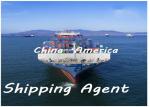 Door To Door DDU Shipping From China To Netherlands USA UK Denmark