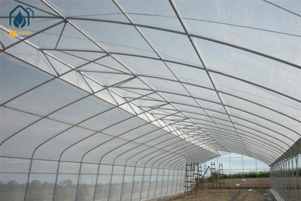 Buy cheap Customizable Tunnel Multi Span Greenhouse 5m - 12m Width With Drip Irrigation System from wholesalers