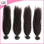 China Brazilian Hair Vendors Brazilian Bouncy Wave Tight Curly, Virgin Remy Hair