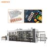Buy cheap 120mm Pasture Egg Tray Making Machine Servo Motor Vacuum Forming Equipment from wholesalers