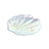 Buy cheap Rainbow Shell Crystal Lead Free Glass Tray Plate,Seashell Dinner Plate from wholesalers