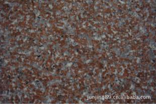 Quality Ultra Large G562 Red Granite Stone Tiles , Granite Bathroom Tiles Hard Texture for sale