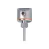 Buy cheap IFM Thermal Flow Switches from wholesalers