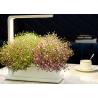 Buy cheap Decorative 12V 9W PP Home Hydroponic Growing Systems from wholesalers