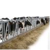 Buy cheap 1.2m/Cow Cow Head Lock from wholesalers