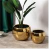 Buy cheap Creative floor decor large outdoor garden planter round luxury golden ceramic flower pots for balcony from wholesalers