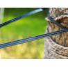 Buy cheap Greenhouse Curtain Holding Monofilament Trellis Wire from wholesalers