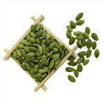 Best Quality Bulk Cheapest Green Peeling Pumpkin Seeds hot selling on Amazon