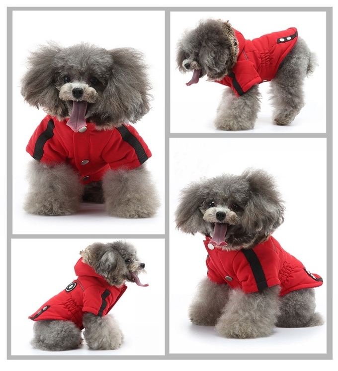 Winter Pet Jacket Dog Clothes Traction Zipper Pattern Stay Warm