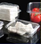 Factory Blister Plastic Storage Box Food Packaging Containers Disposable
