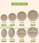 Eco-Friendly Wholesale Bio Disposable Sugarcane Food Container Snack Cookie
