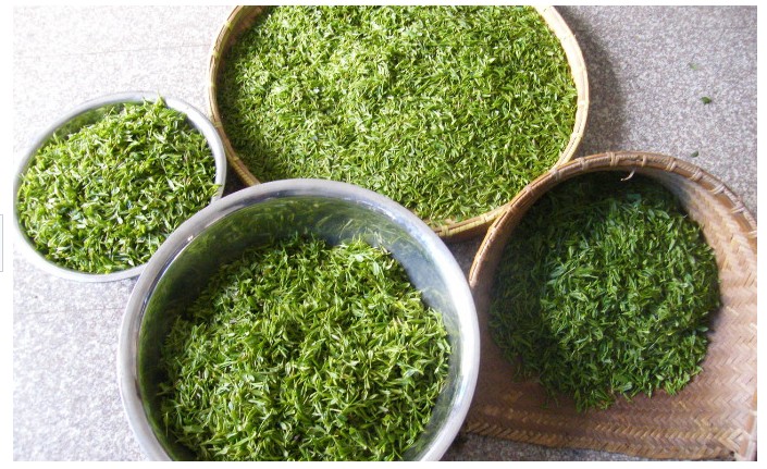 Organic Roasted green tea,150g Roasted green tea for slimming, healthy green slimming tea