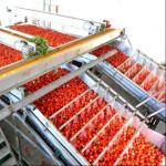 Multifunctional Canning Production Line For Tinned Tomatoes From Leadworld
