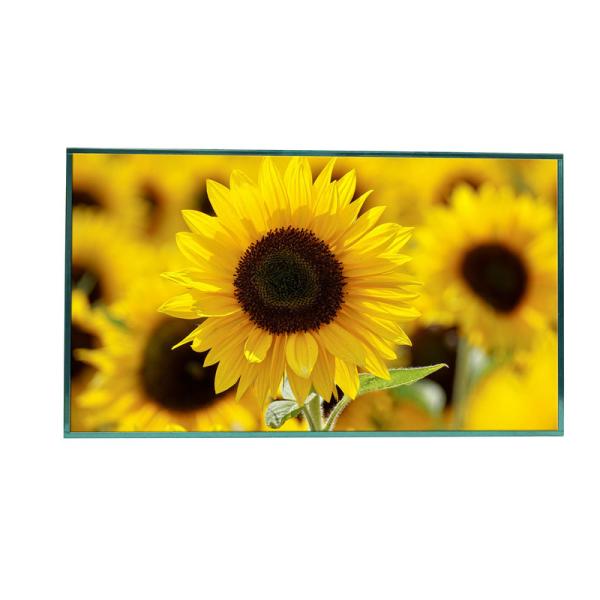 Buy cheap 32 Inch Sunlight Readable LCD Screen Monitor Full HD Display 1920x1080 from wholesalers