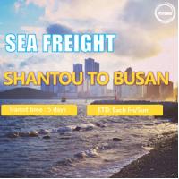 Buy cheap International Sea Freight from Shantou China to Busan South Korea product