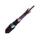 24 Count Armored Fiber Optic Cable Anti Mouse Termite Squirrel Bird Peck