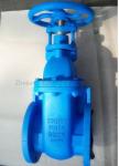 CE/SGS/ISO9001 Certified DN50 Rising Stem Ductile Iron Ggg40/50 Flanged Gate