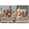 Buy cheap Horse stone sculpture for garden from wholesalers