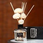 22.5cm Luxury Wooden Rattan Reed Diffuser Sticks Home Air Freshener Aroma