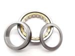 Single Row Full Complement Cylindrical Roller Bearing NJ 203-NJ 216