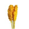 Buy cheap Factory Price Dry Flower Preserved Broomcorn Dry Sorghum For Decoration from wholesalers