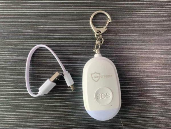 Personal Alarm Siren Pre-Shipment Inspection Services Unbeatable price Product